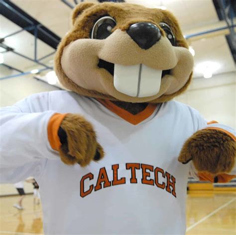 The Cultural Significance of Mascots: Exploring the College Beaver